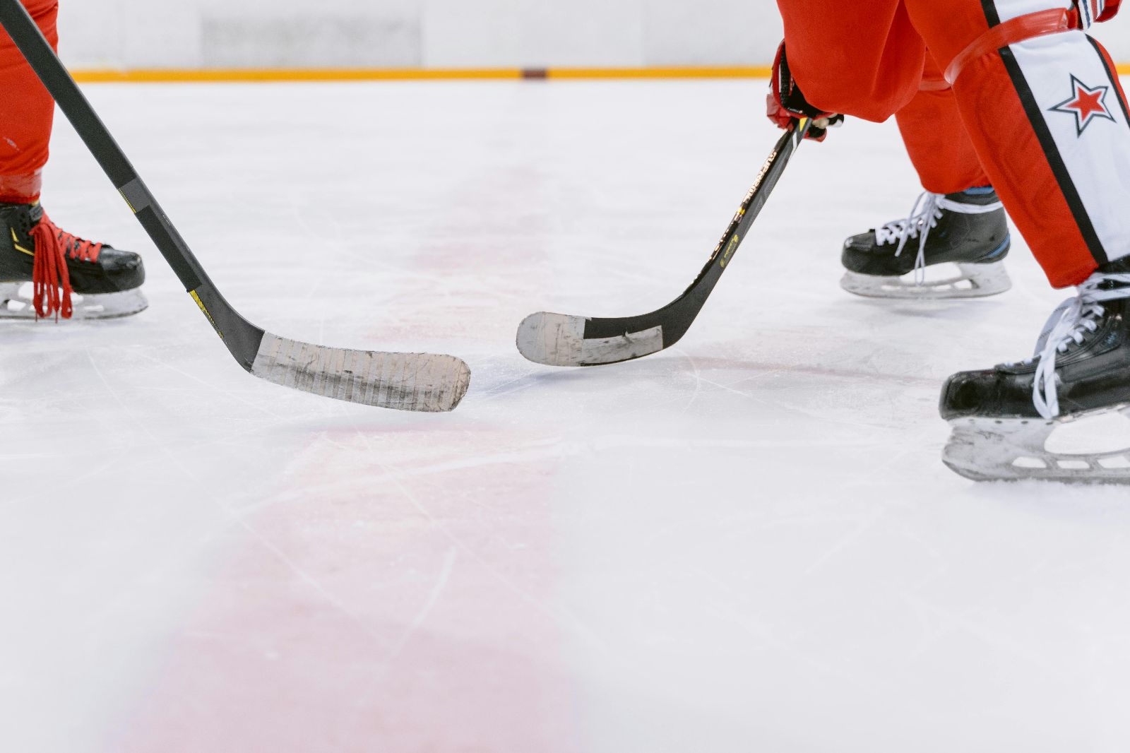 Hockey-skills Training Franchise With Management In Place